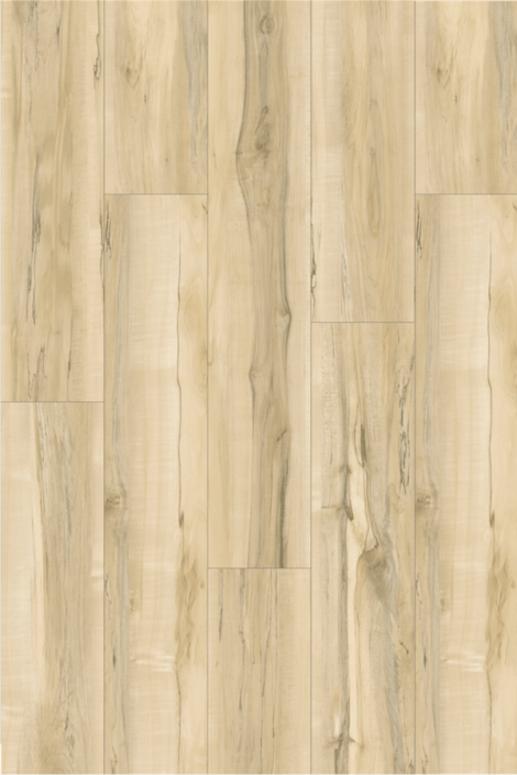 226 Porto - Home's Pro Sweden Series