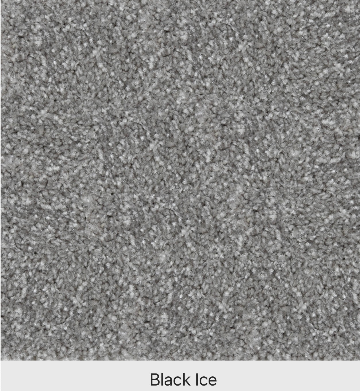 Beaulieu Canada Minotaur #A4525 Collection (9 Colours Available)