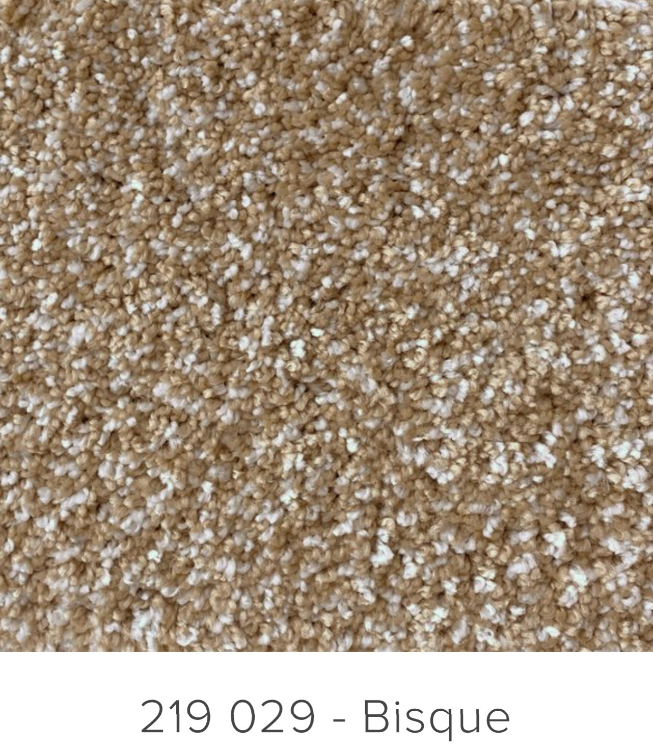 Next Floor Cirrus 219 Carpet Collection (6 Colours Available)