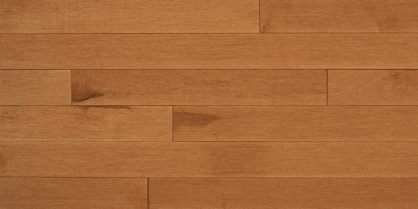 Toffee - Appalachian Flooring Signature Hard Maple Collection