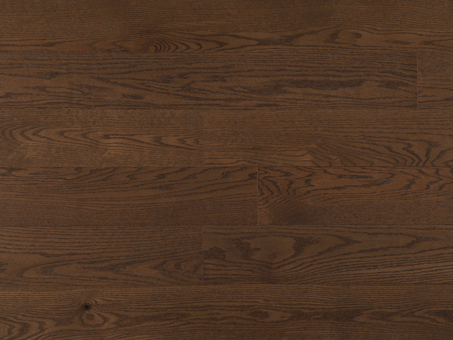 Camel - Vidar American White Oak 6 Collection