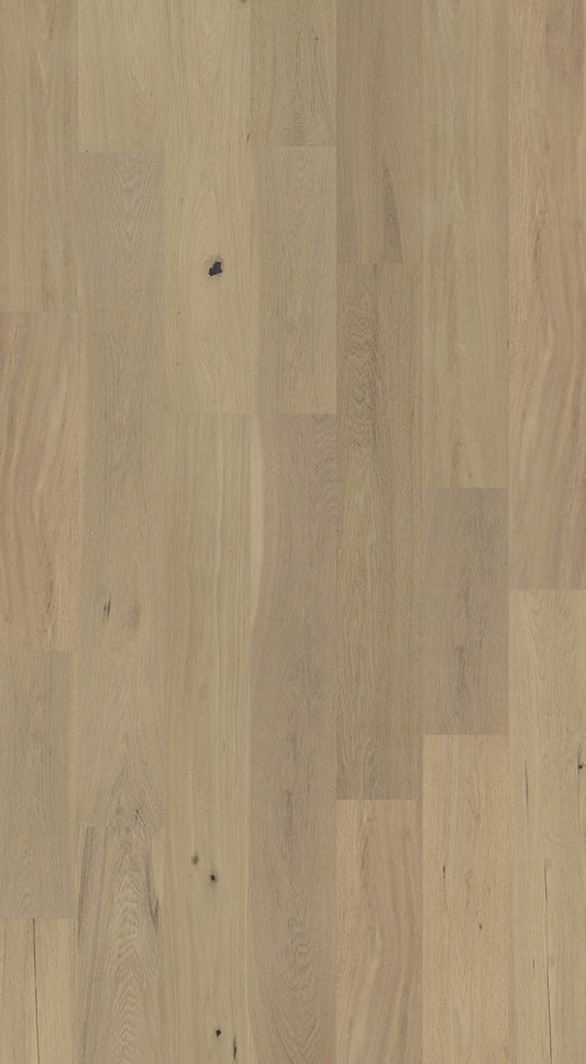Fortino - Weiss Flooring 6-1/2" Engineered Hardwood