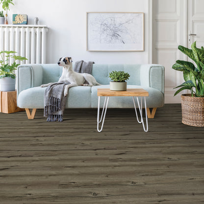 Beaulieu Rapido 2095 Lucca | 5mm Loose Lay Vinyl Plank