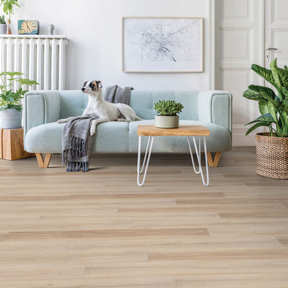 Beaulieu Rapido 2250 Cosenza | 5mm Loose Lay Vinyl Plank