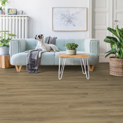 Beaulieu Rapido 2253 Vittoria | 5mm Loose Lay Vinyl Plank
