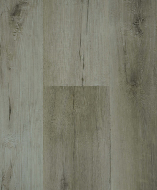 Caledonia - Impressive Floors Ventura Collection
