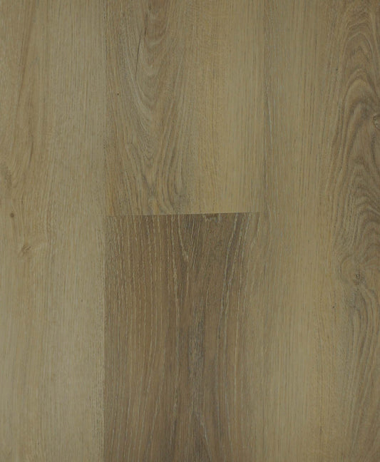 Lenox - Impressive Floors Volterra Collection