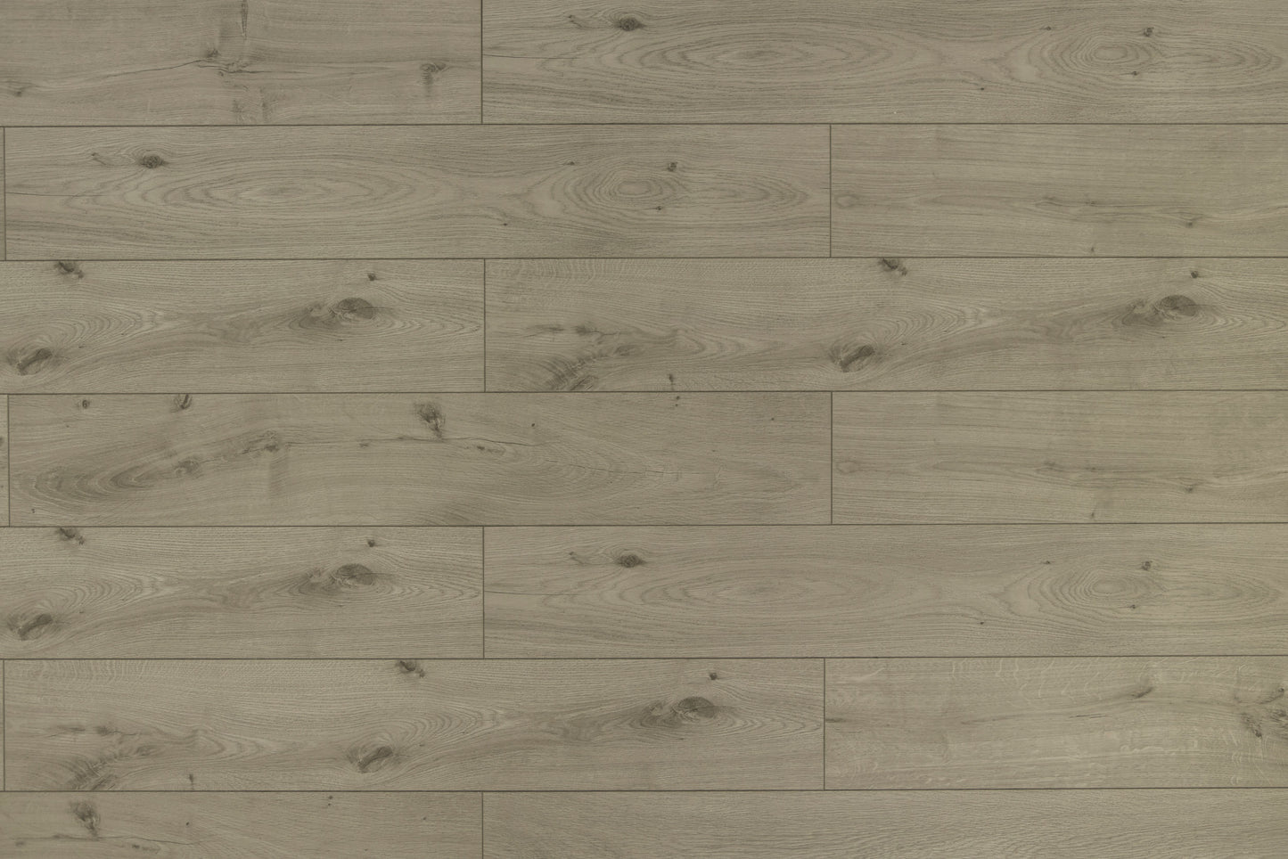 TF6019-F - Toucan Flooring 12mm Laminate Water Resistance