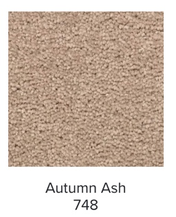 Mohawk Treasure Valley Carpet | EverStrand Residential Broadloom