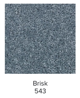 Mohawk Treasure Valley Carpet | EverStrand Residential Broadloom
