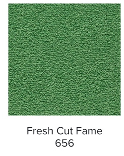 Mohawk Showtime II Carpet | EverStrand Residential Carpet