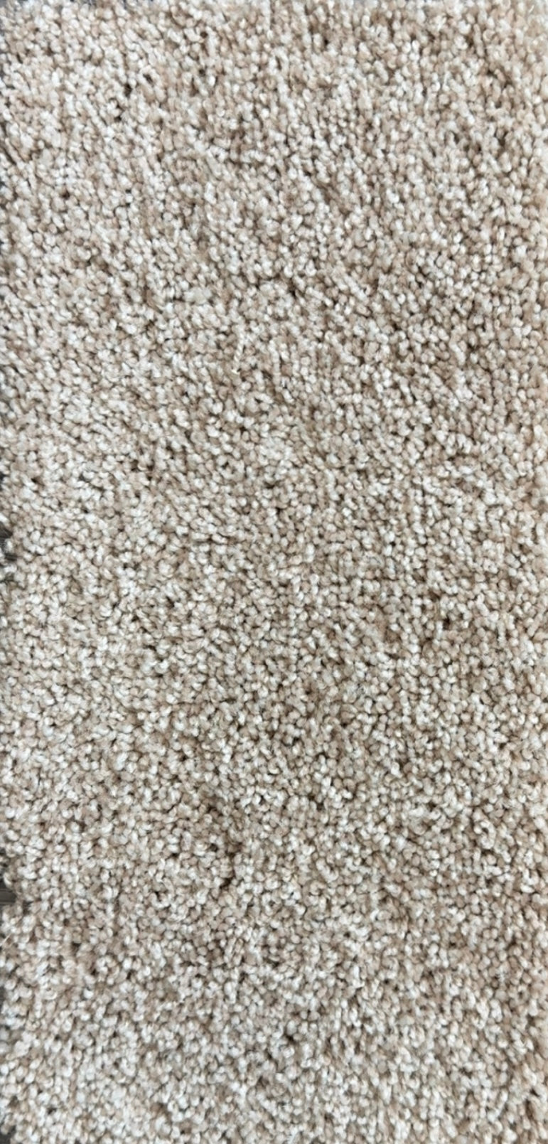 Light Beige 40 oz Residential Carpet | $2.29/sq. ft.
