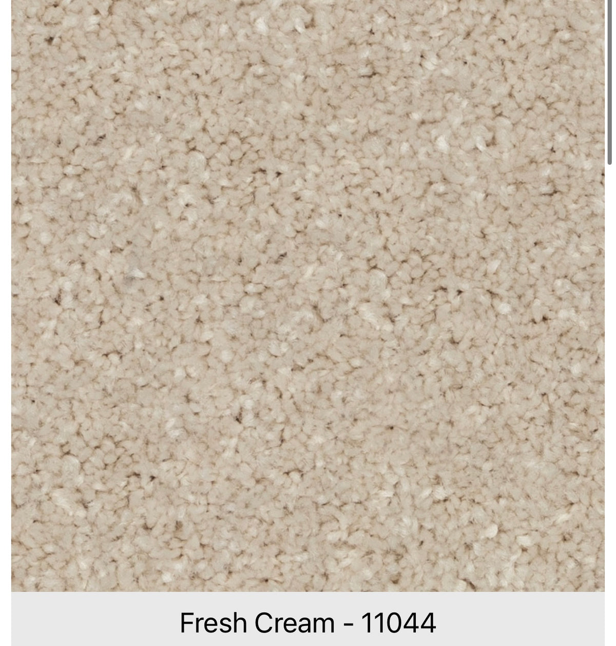 Beaulieu Serene Ambiance J4756 Carpet | 12 Colours | Tryesse