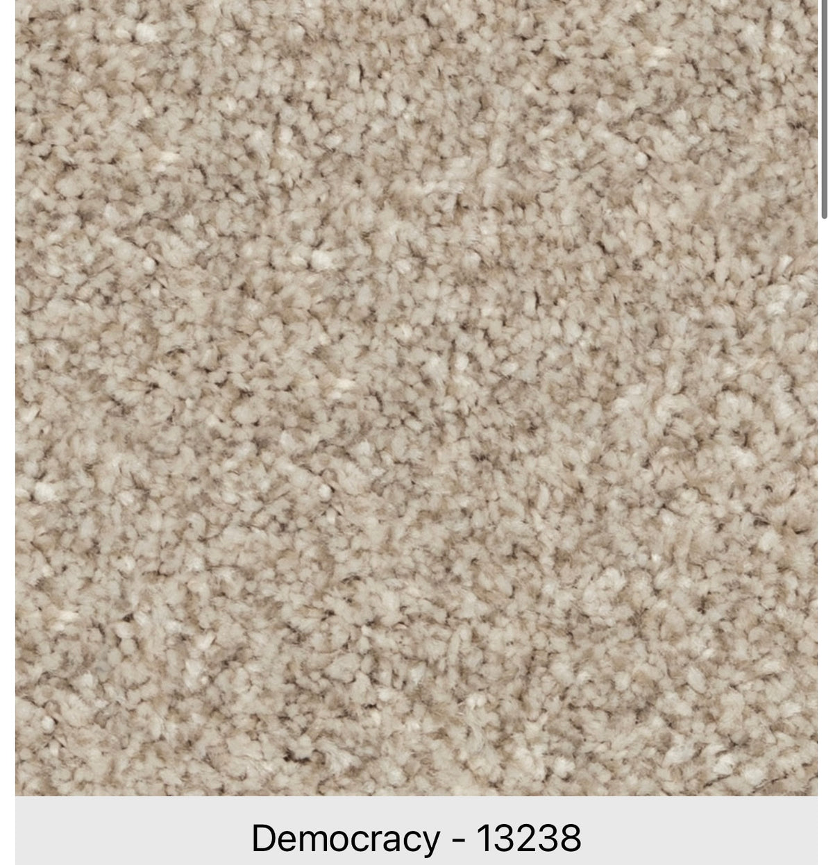Beaulieu Serene Ambiance J4756 Carpet | 12 Colours | Tryesse