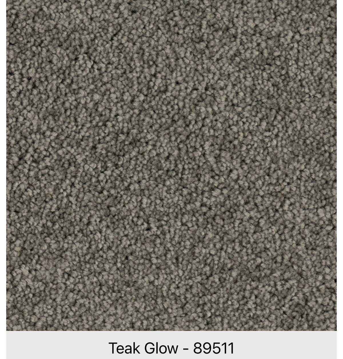Beaulieu Lombard Street A4793 Carpet | Residential Broadloom