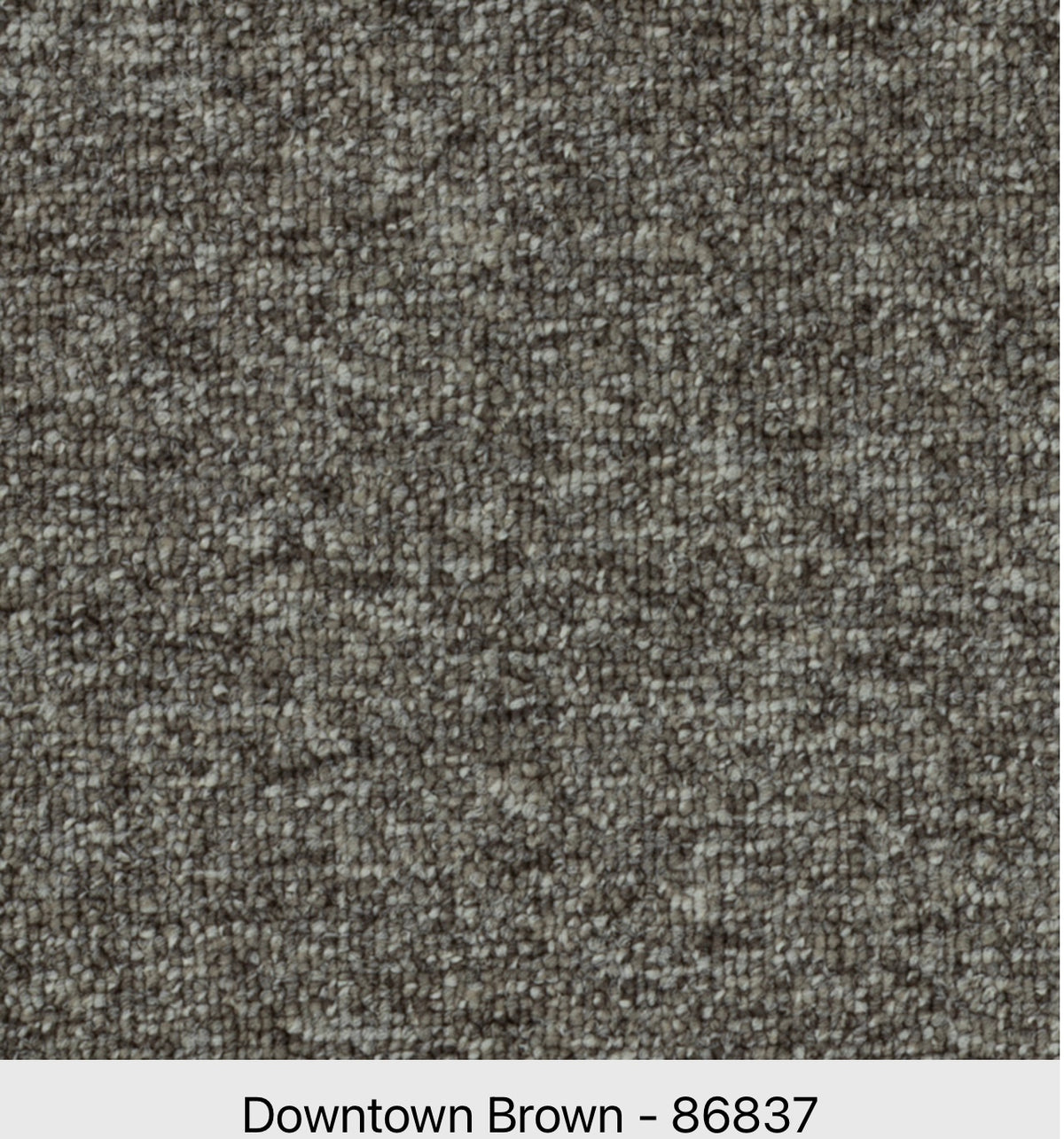 Beaulieu Axion 26 J8333 Commercial Nylon Carpet | Toronto