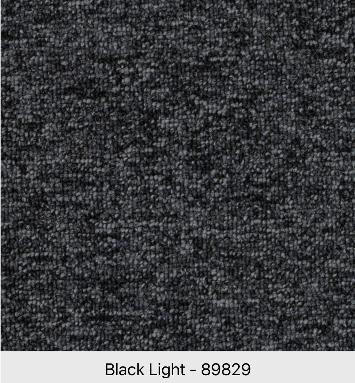 Beaulieu Axion 26 J8333 Commercial Nylon Carpet | Toronto