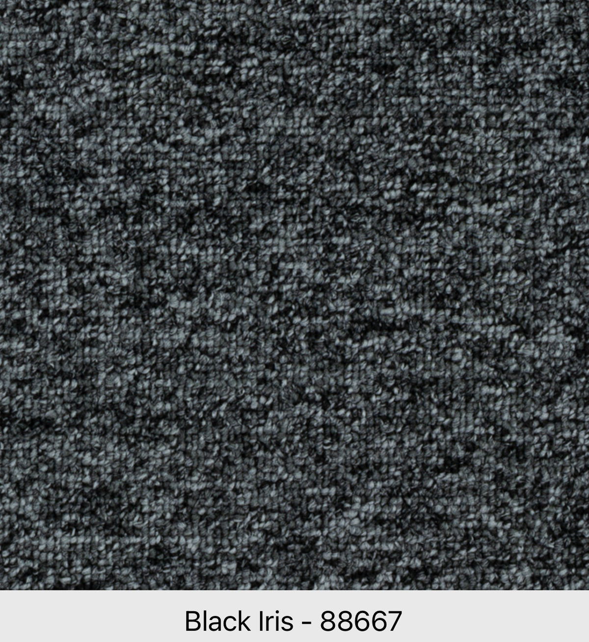 Beaulieu Axion 26 J8333 Commercial Nylon Carpet | Toronto