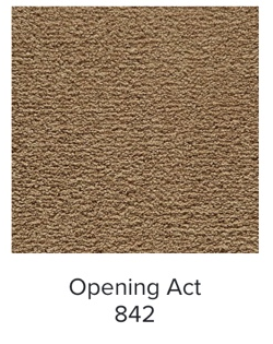 Mohawk Showtime II Carpet | EverStrand Residential Carpet