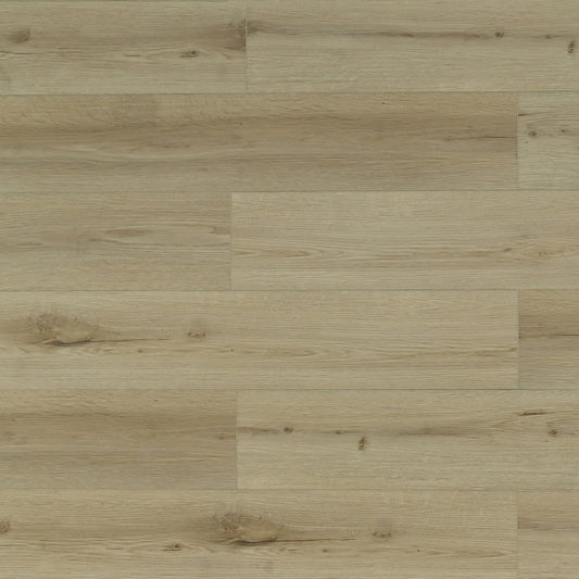 TFL627 Honey Birch - Toucan Looselay Series