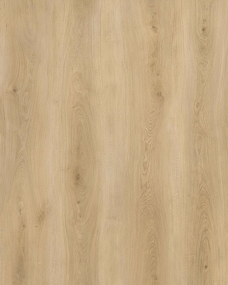 Forillon - Vizion Floor 8mm Vinyl Collection