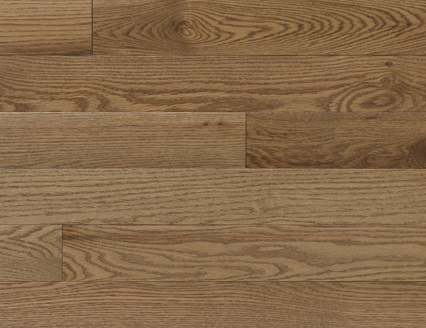 Sable  - Appalachian Flooring Signature Red Oak Collection
