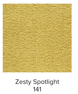 Mohawk Showtime II Carpet | EverStrand Residential Carpet
